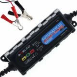 Chargeur de batterie inverter automatique Awelco Automatic10 - 12V - batteries jusqu'à 30A