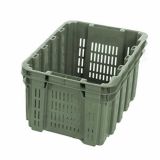  Vendita Casse agricole e raccolta olive