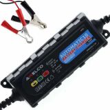 Awelco Automatic 10 - Caricabatterie inverter automatico - 12V - batterie fino a 30A