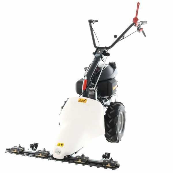 Eurosystems P55 - Motosegadora multifunción de doble cuchilla - Honda GCVX 170
