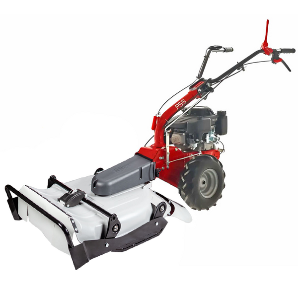 Eurosystems P55 - Benzin-Hochgrasmäher - Sichelmäher PRO - Loncin 196 ccm